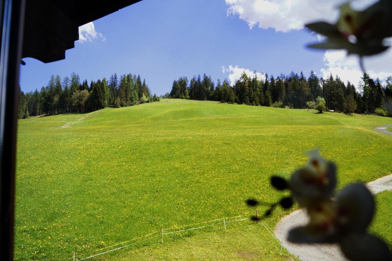Sauschneidhof - Radstadt Extérieur photo